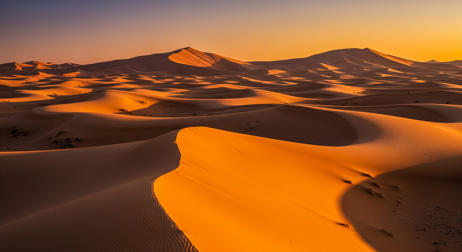 Golden sand dunes of the Sahara Desert in Tassili n'Ajjer with dramatic shadows at sunrise