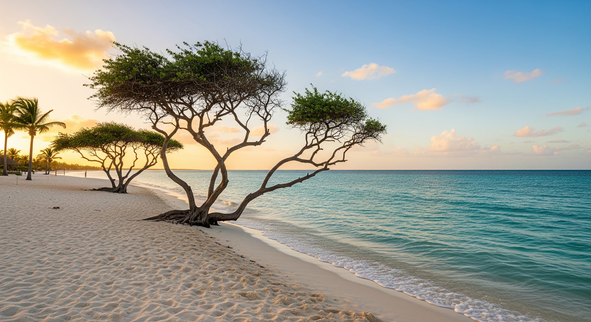 Travelling to Aruba