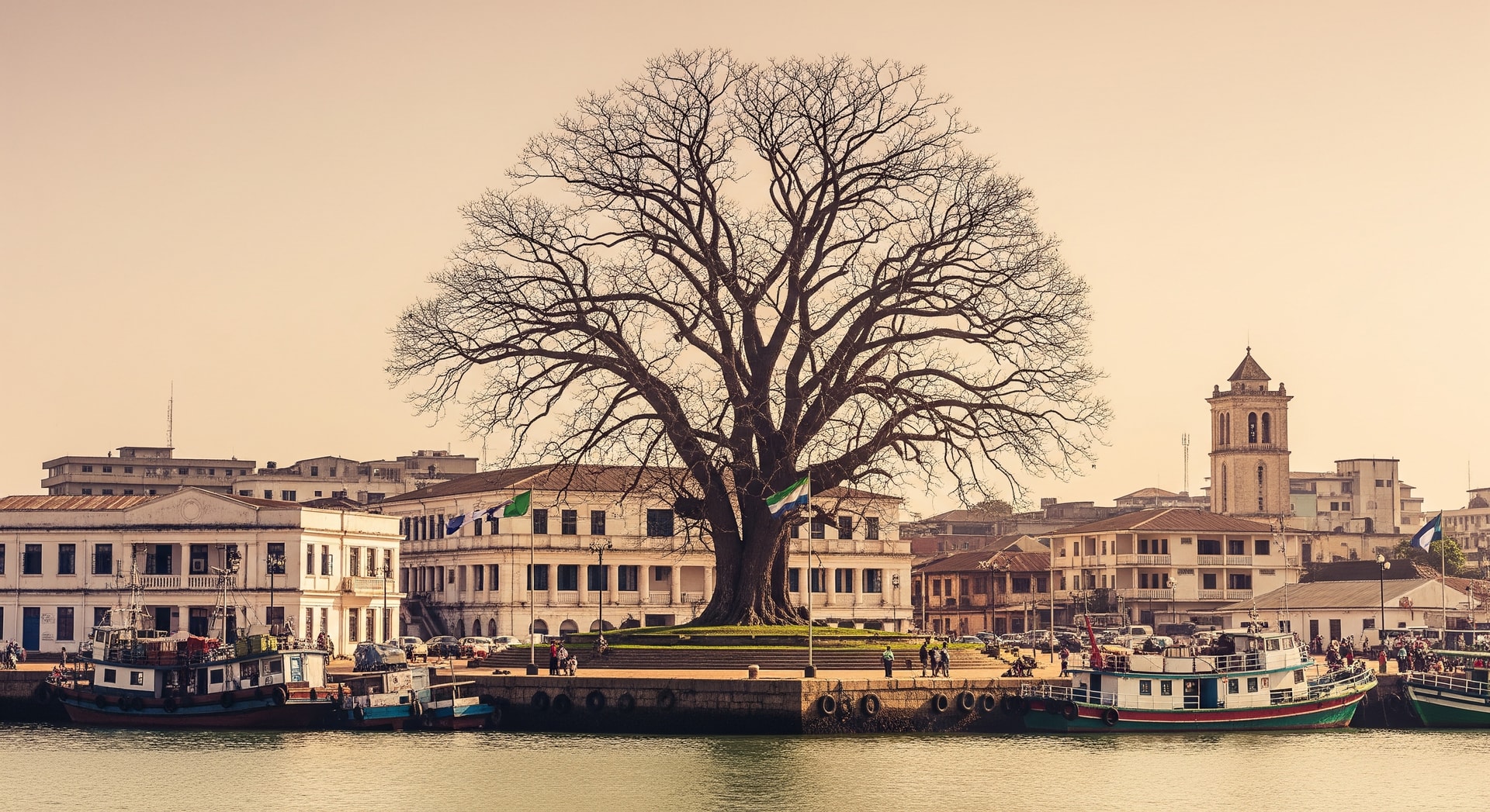 Freetown harbor and the Cotton Tree landmark representing Sierra Leone's capital city and national identity