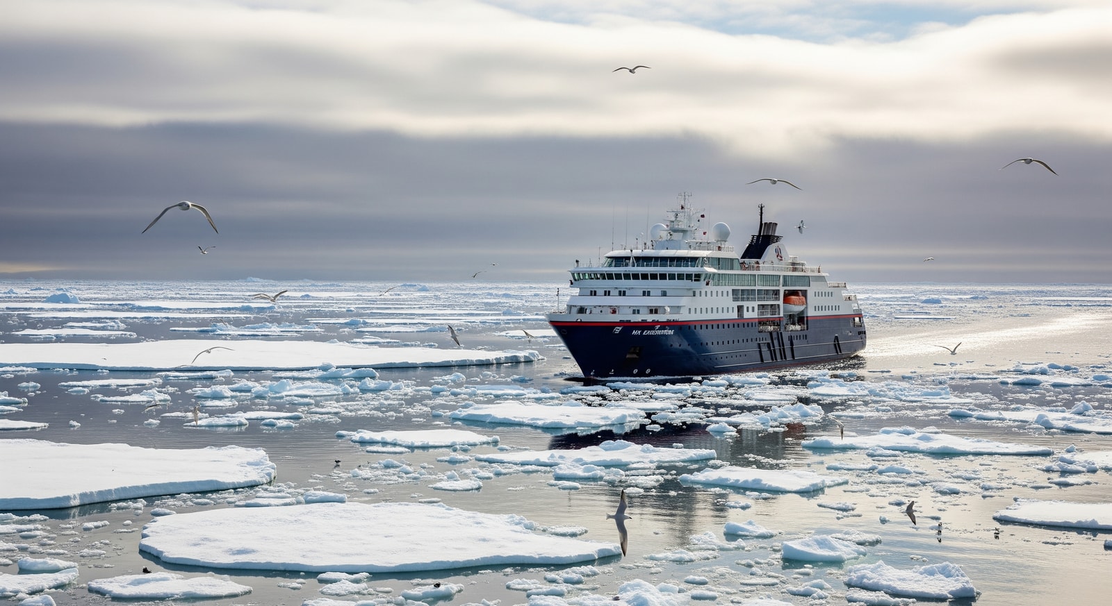 HX Expeditions vessel cruising in polar waters with ice floes and seabirds visible